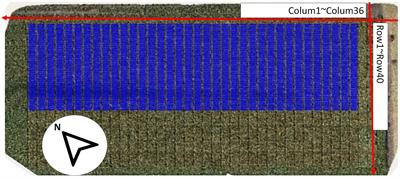 Aerial Imagery Analysis – Quantifying Appearance and Number of Sorghum Heads for Applications in Breeding and Agronomy